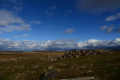 DSC_2904 (Large).JPG